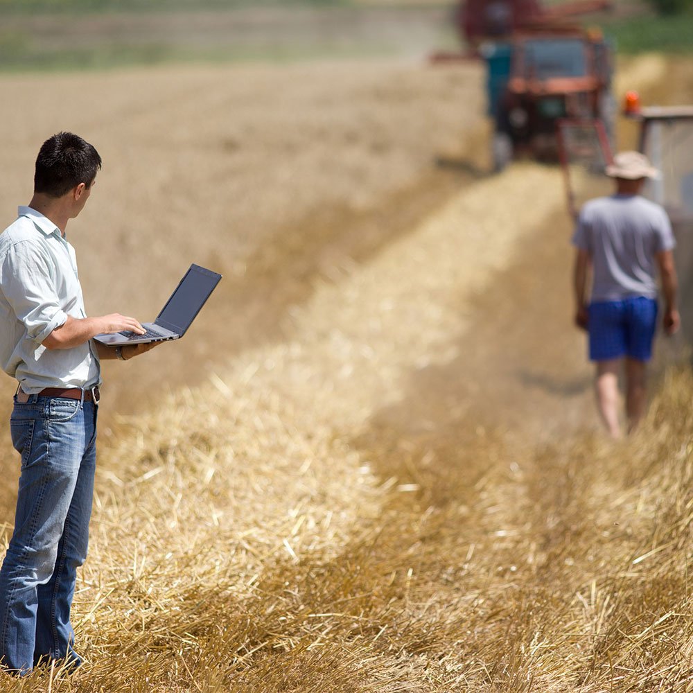 Emprendimiento rural para luchar contra la despoblación - CaixaBank