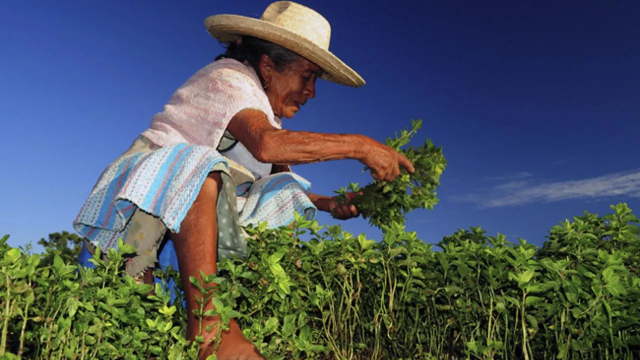 Tejiendo Campo: El nuevo proyecto que empodera a las mujeres rurales de Jalisco